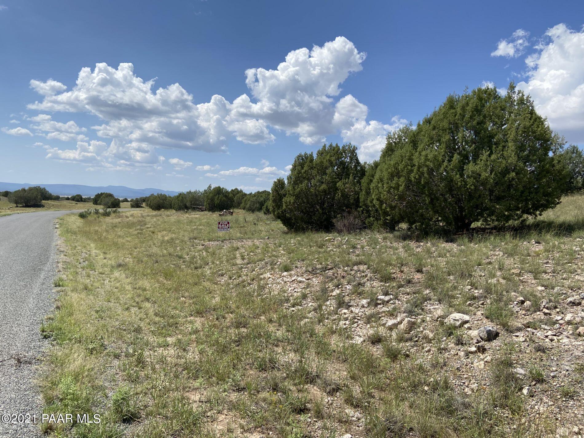 0 West Rambling Road Prescott, AZ 86305 - Photo 13 of 15 a view of a yard
