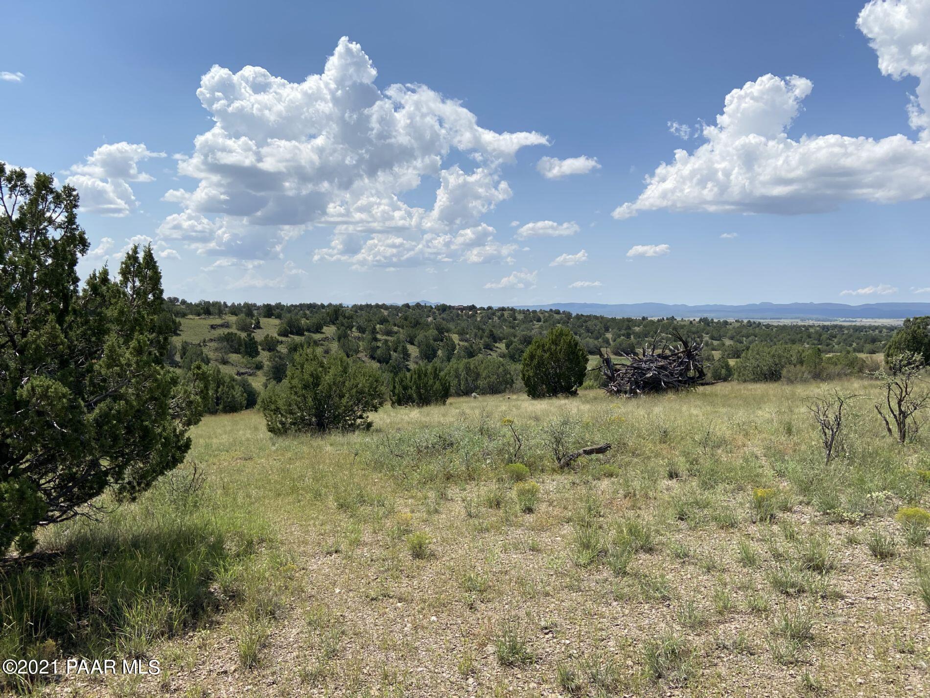 0 West Rambling Road Prescott, AZ 86305 - Photo 2 of 15 a view of a yard