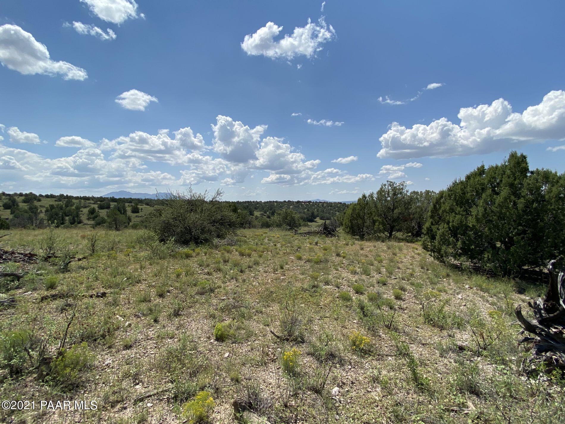 0 West Rambling Road Prescott, AZ 86305 - Photo 3 of 15 a view of a yard with an outdoor space
