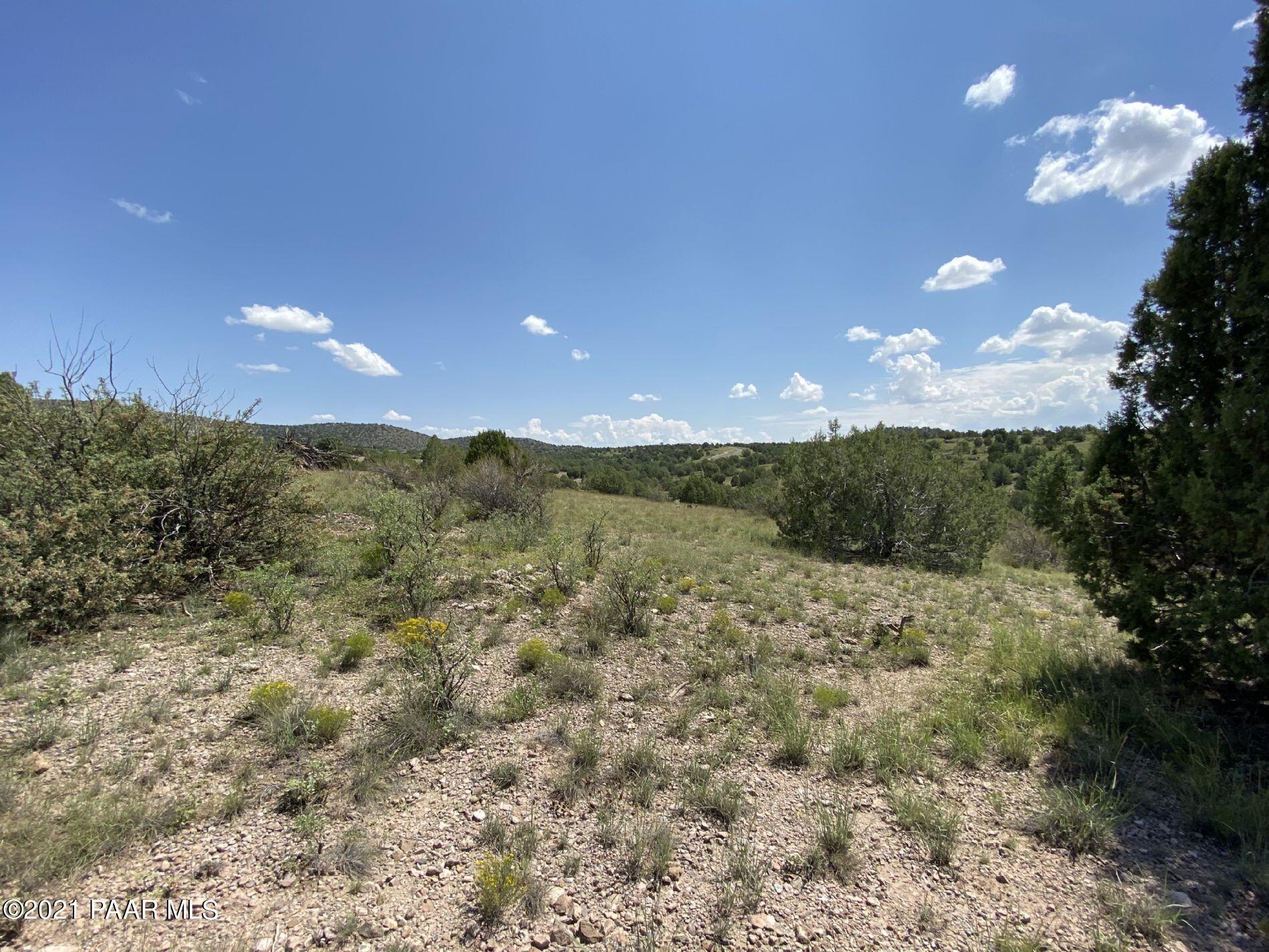0 West Rambling Road Prescott, AZ 86305 - Photo 5 of 15 a view of a big yard with lots of green space
