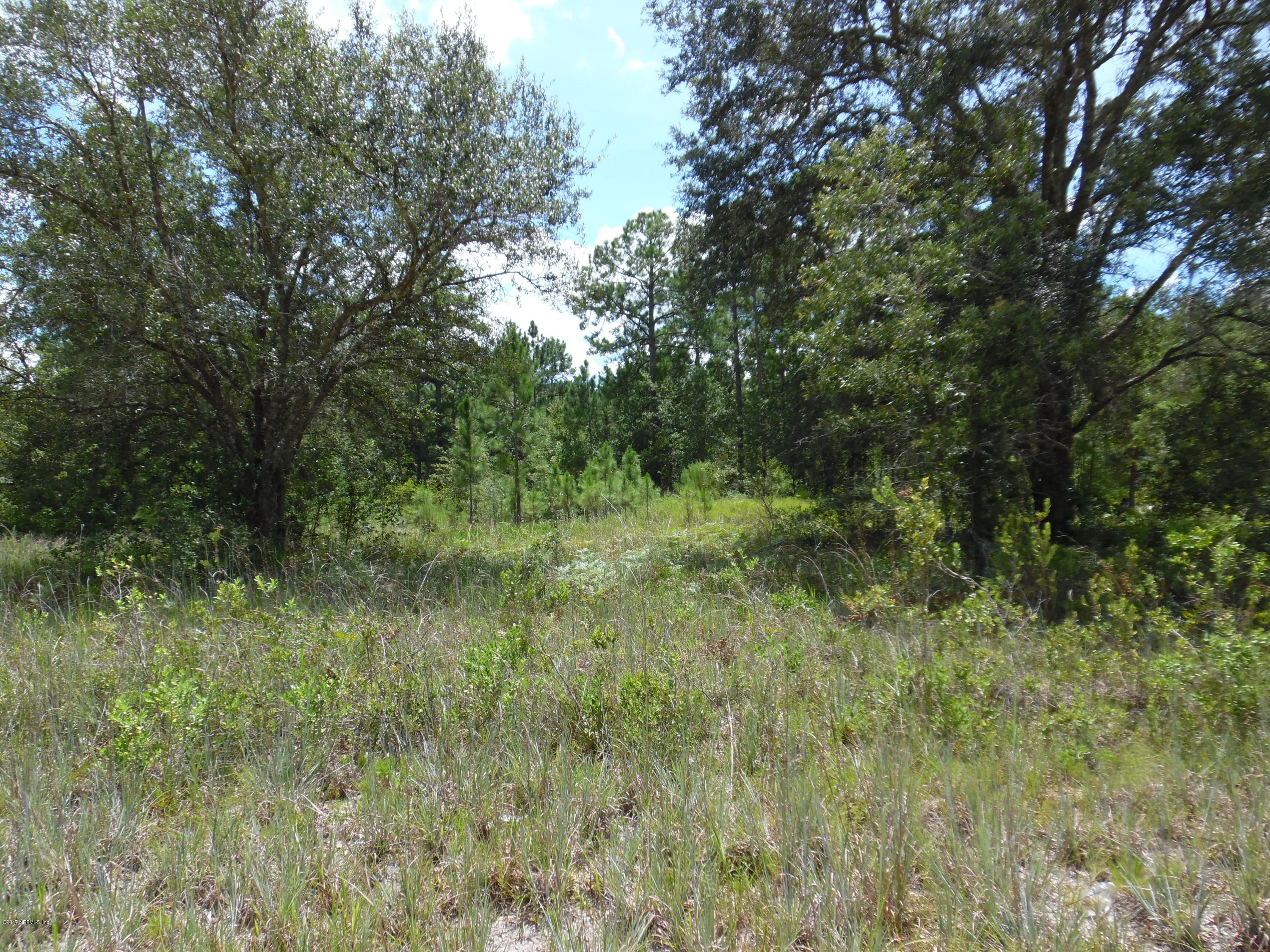 5013 Bent Twig Road Middleburg, FL 32068 - Photo 1 of 7 johncampen 873