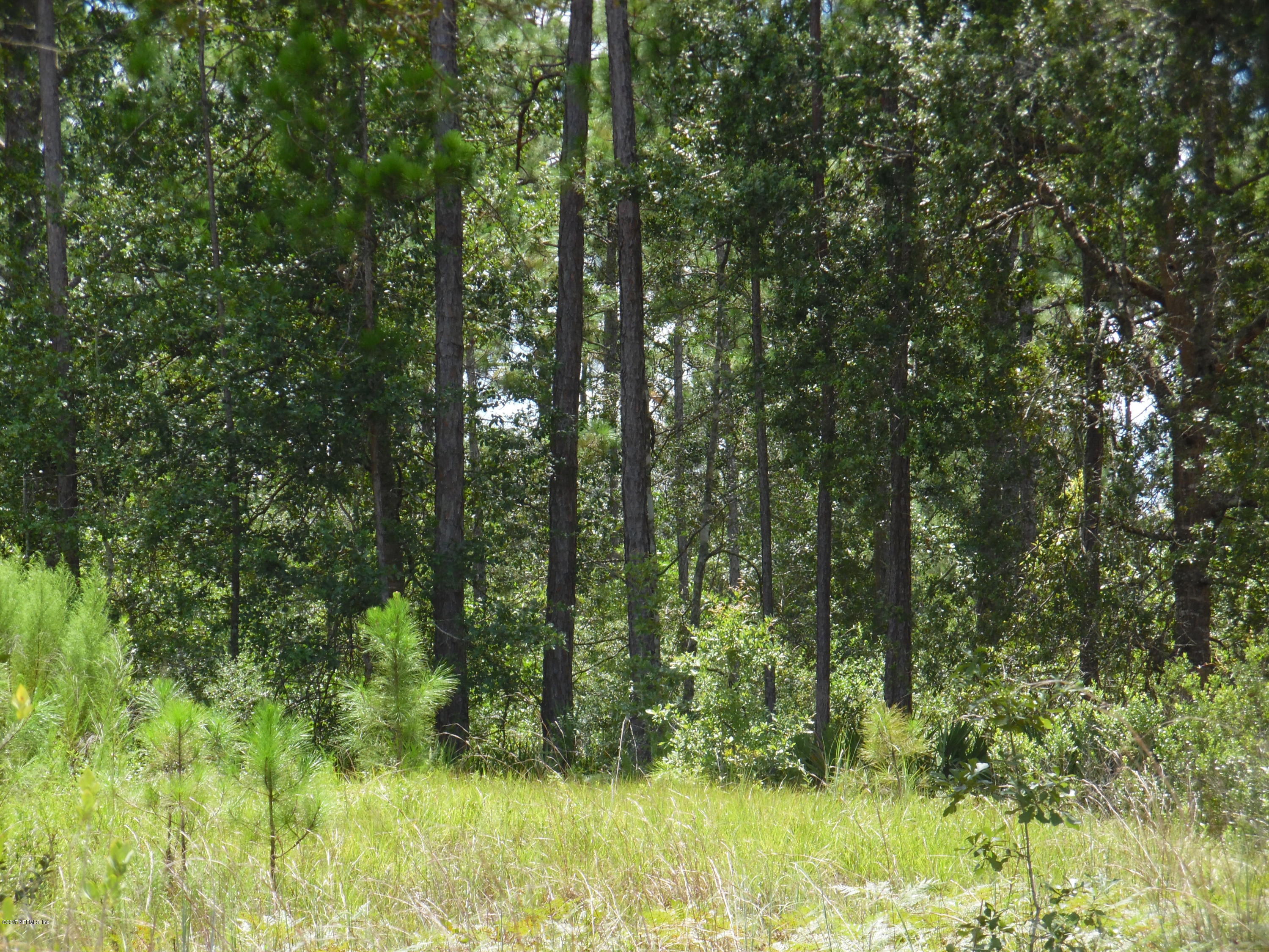 5013 Bent Twig Road Middleburg, FL 32068 - Photo 2 of 7 johncampen 876