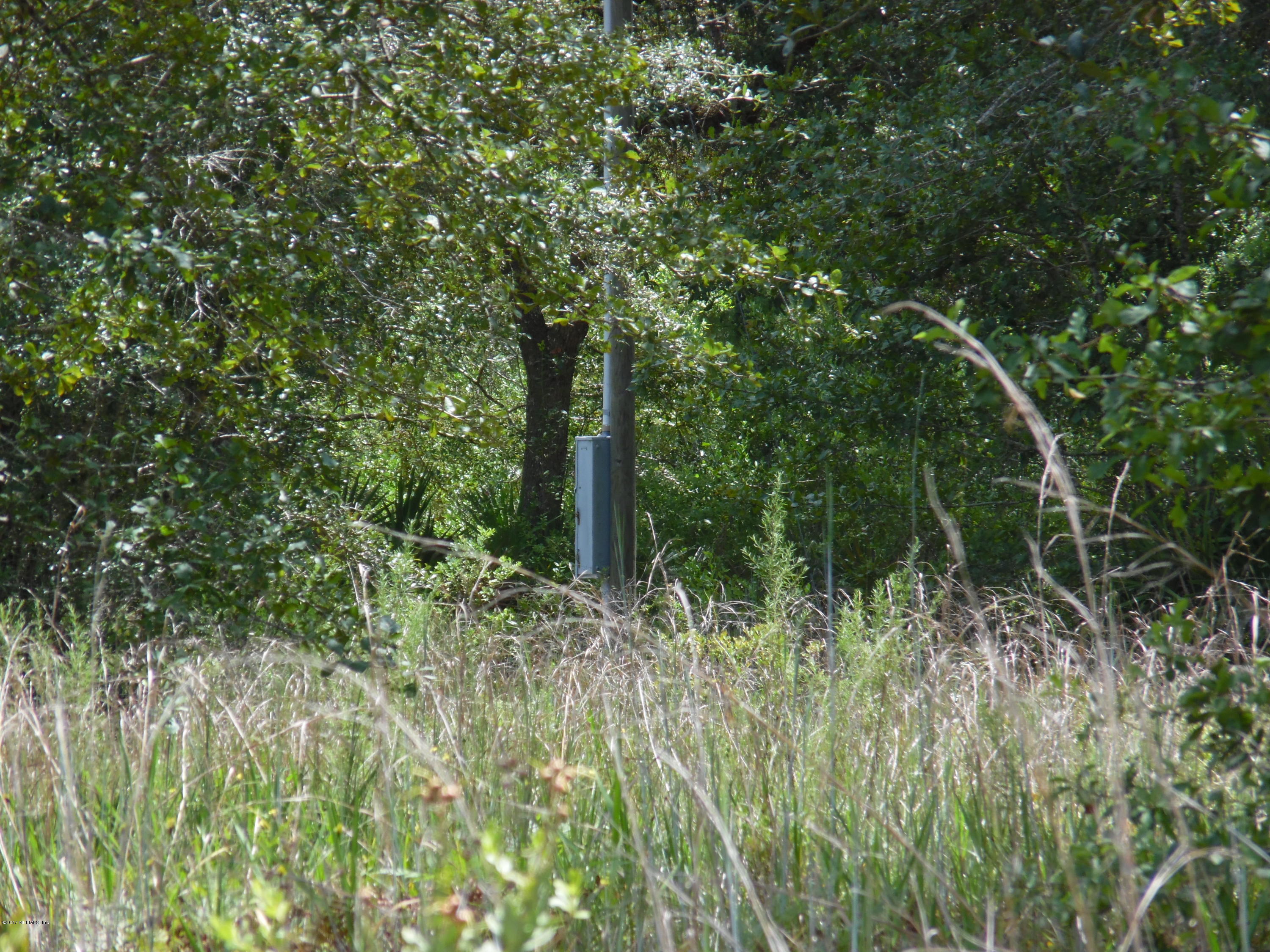 5013 Bent Twig Road Middleburg, FL 32068 - Photo 3 of 7 johncampen 874