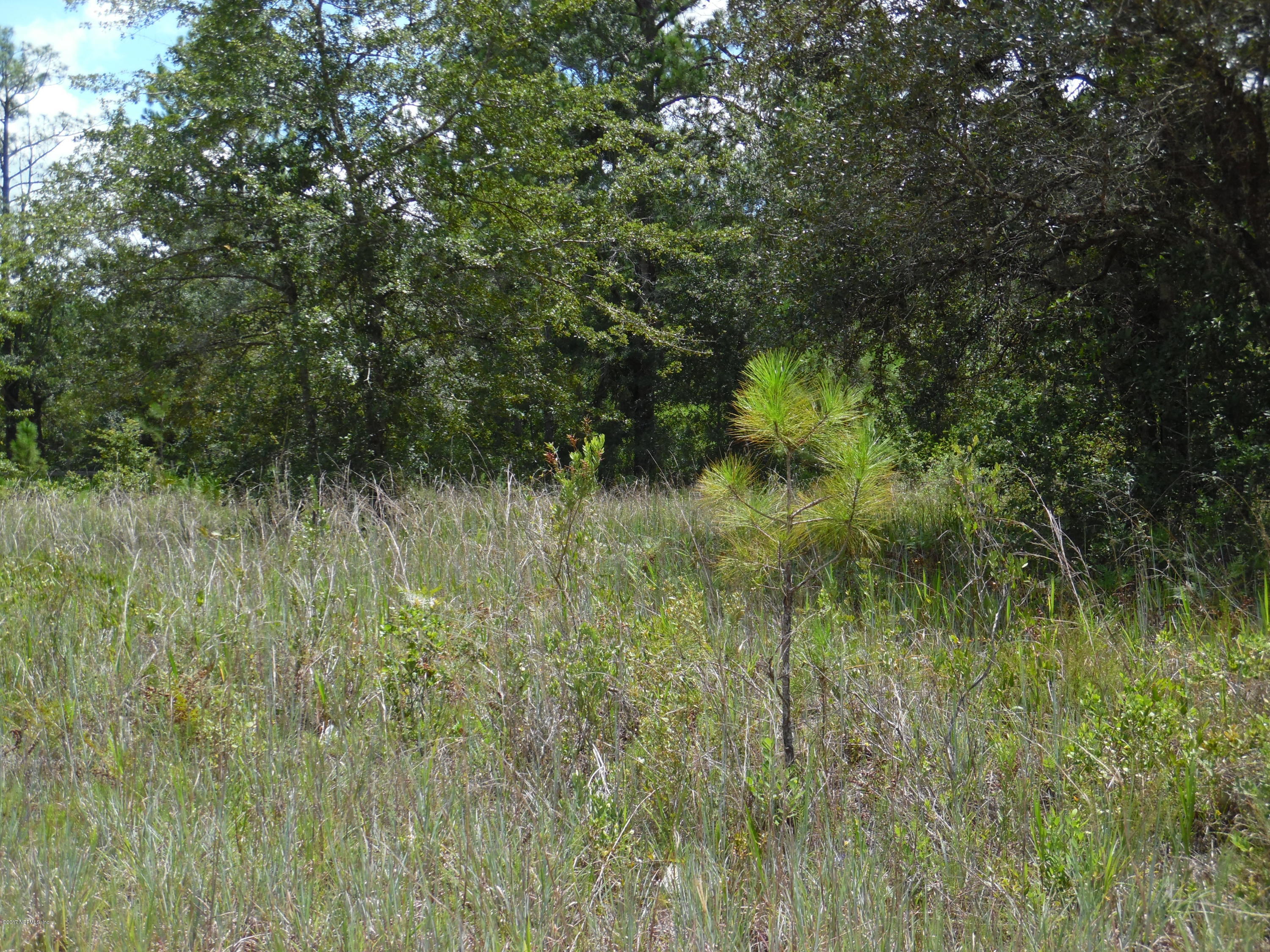 5013 Bent Twig Road Middleburg, FL 32068 - Photo 4 of 7 johncampen 875