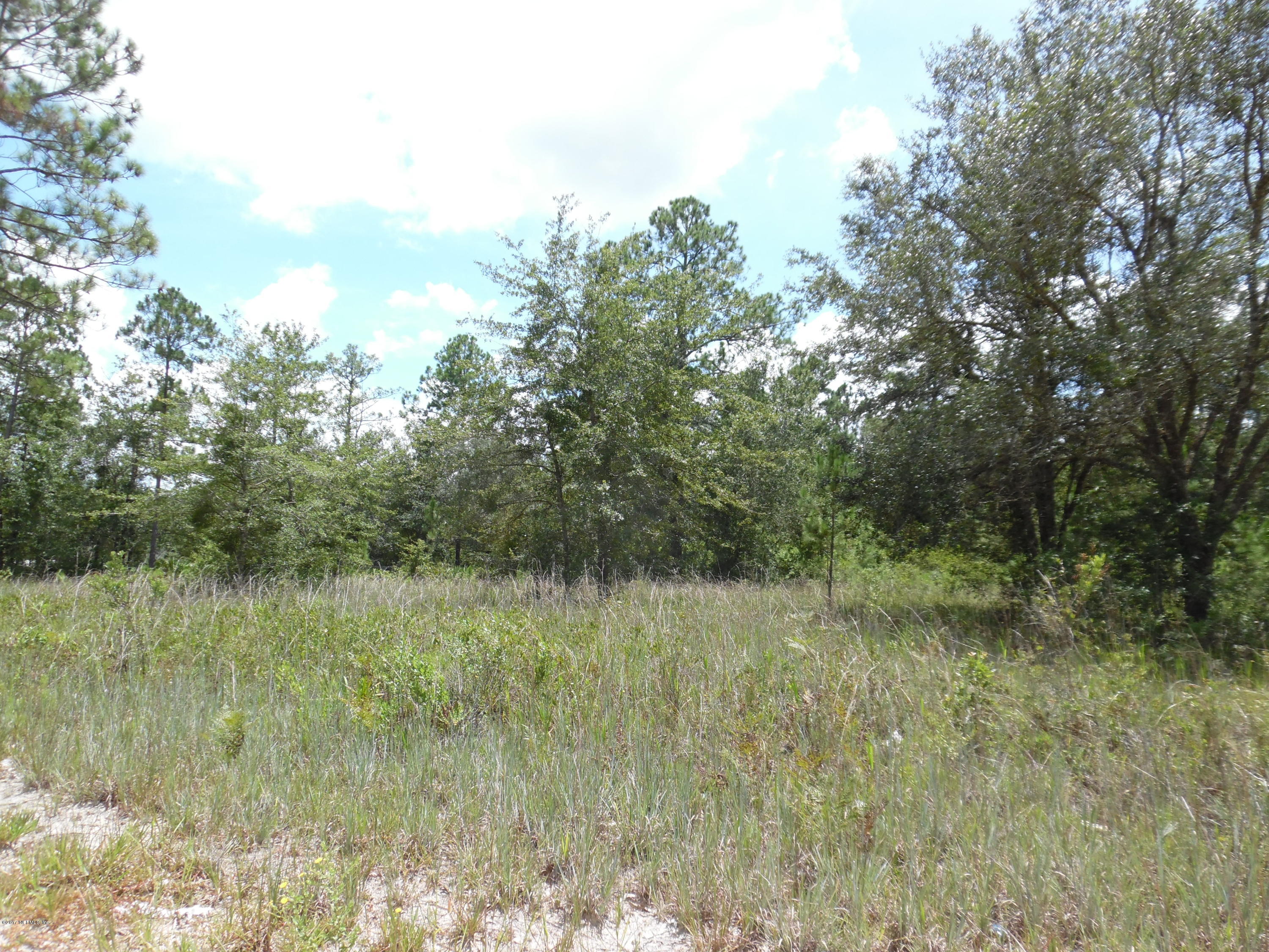 5013 Bent Twig Road Middleburg, FL 32068 - Photo 5 of 7 johncampen 877