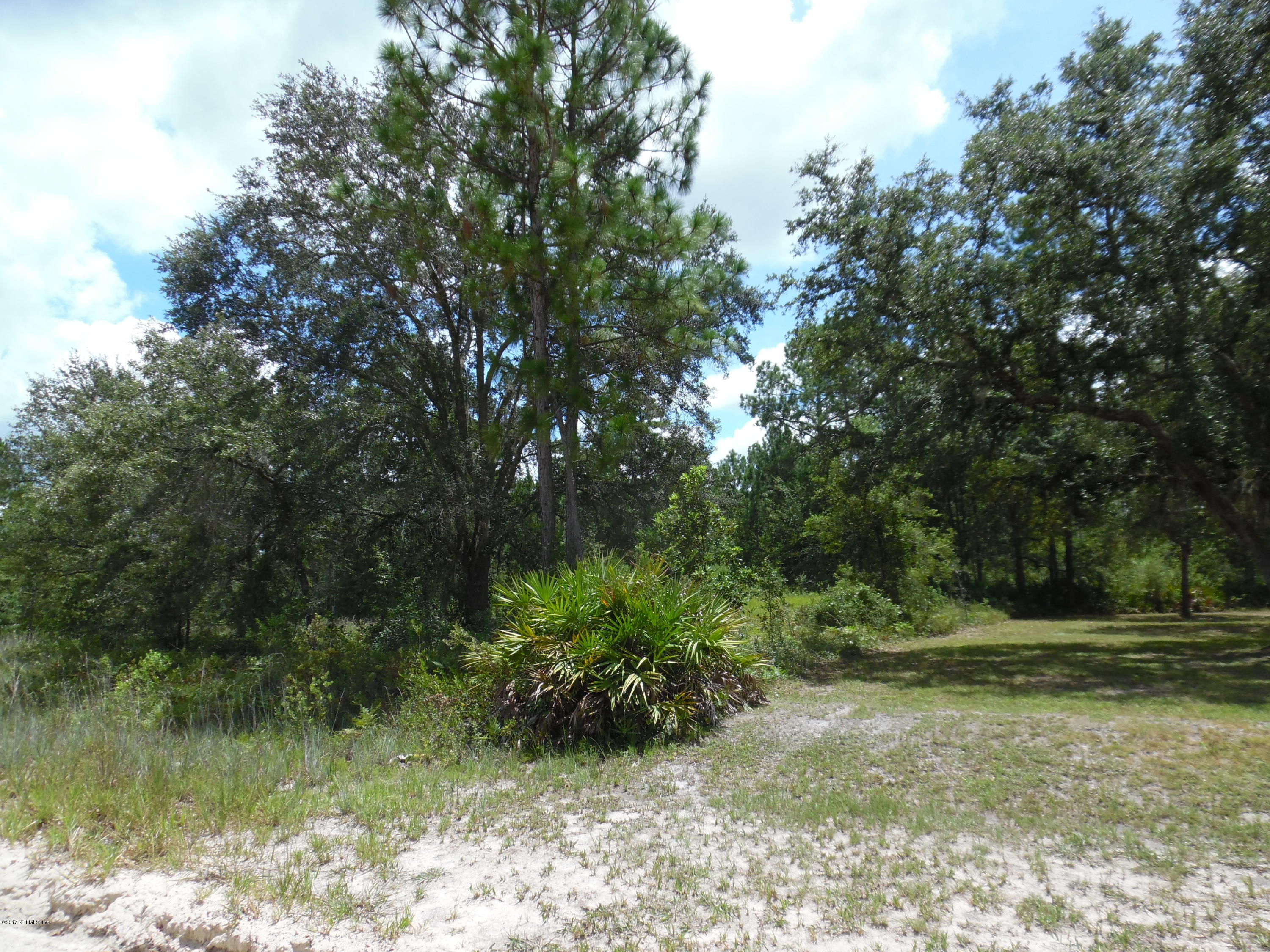 5013 Bent Twig Road Middleburg, FL 32068 - Photo 6 of 7 johncampen 878