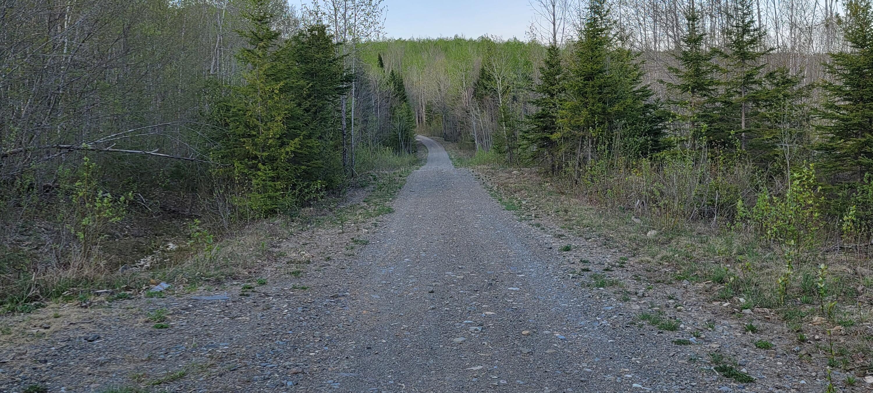 Lot 41 Cyr Rd Mount Patten, ME 04765 - Photo 5 of 8 20220513_175430