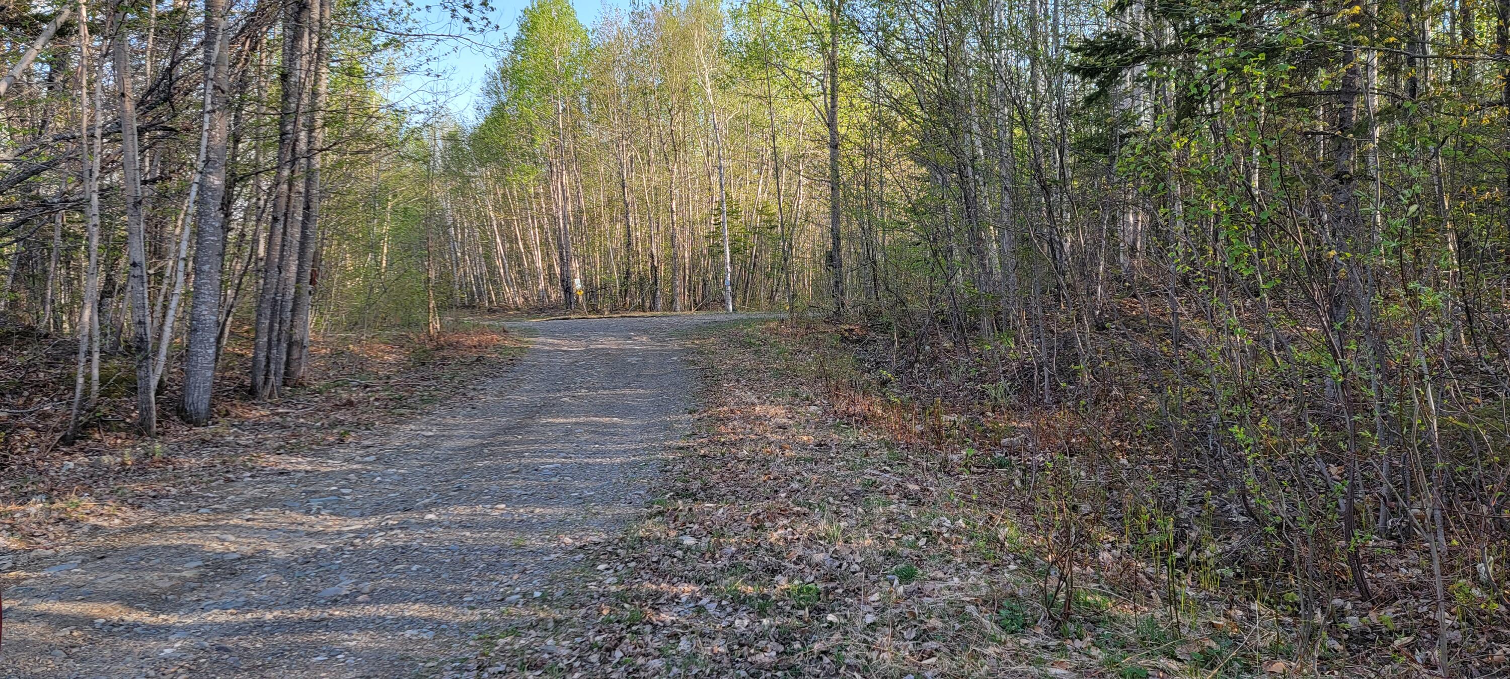 Lot 41 Cyr Rd Mount Patten, ME 04765 - Photo 6 of 8 20220513_175822