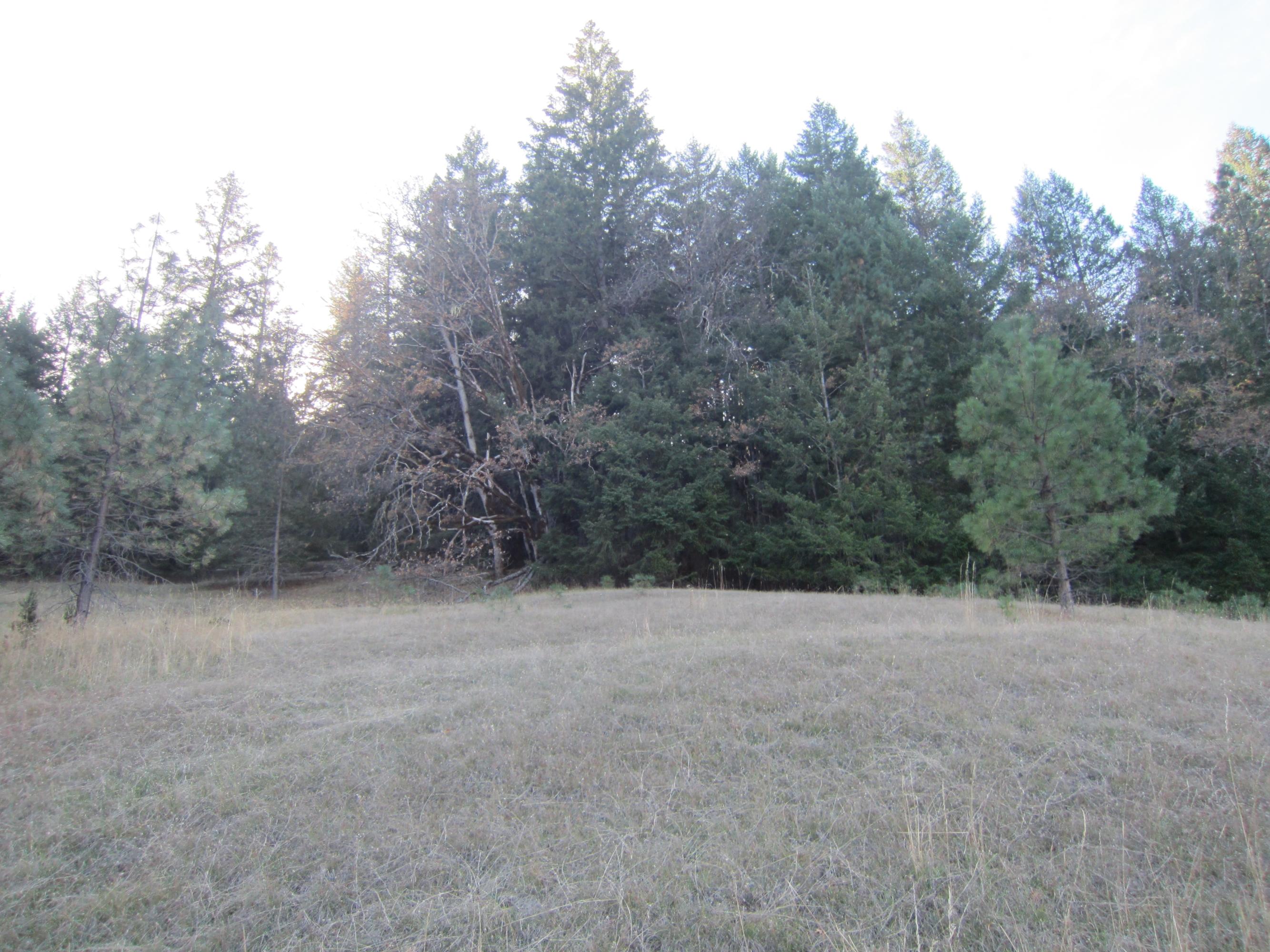 4 West Bank Road Mad River, CA 95552 - Photo 6 of 22