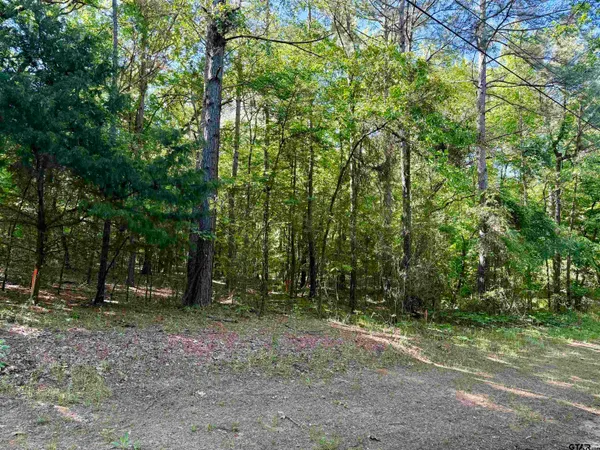 a view of outdoor space with lots of trees
