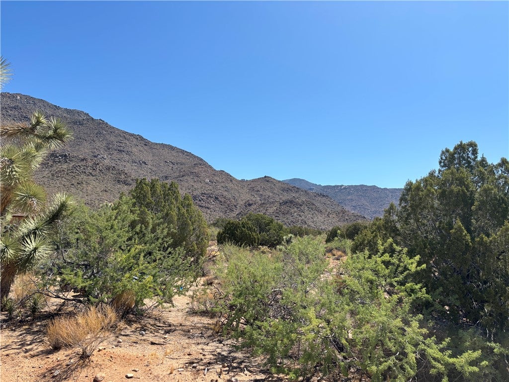 5221 East Crystal Springs Road Yucca, AZ 86438 - Photo 14 of 43 Gallery Image 14