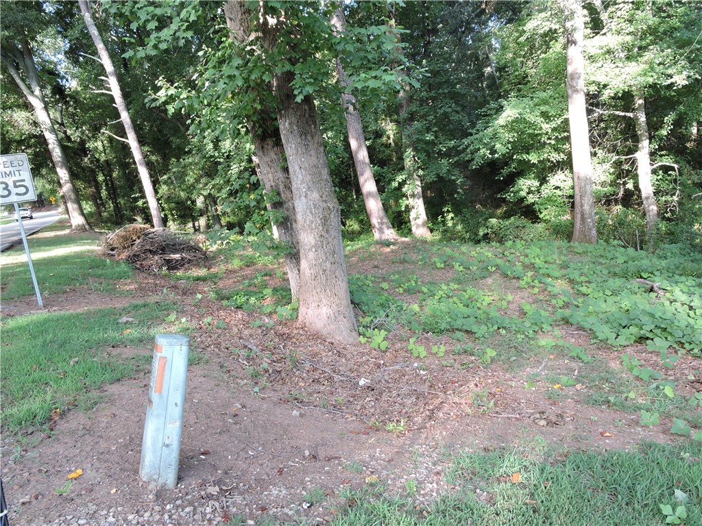 1901 Hattons Ford Road Townville, SC 29689 - Photo 27 of 33 Mature trees and lush groundcover define this generously treed lot.