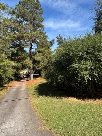 a view of a yard