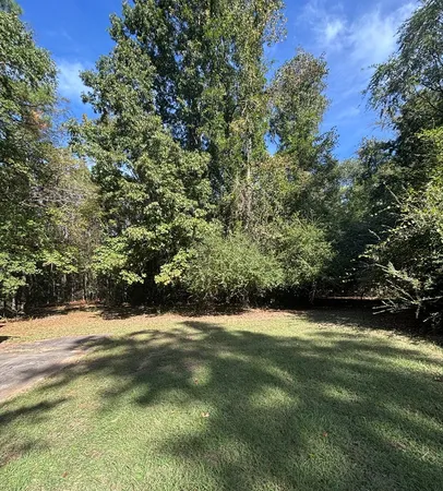 a view of outdoor space and trees
