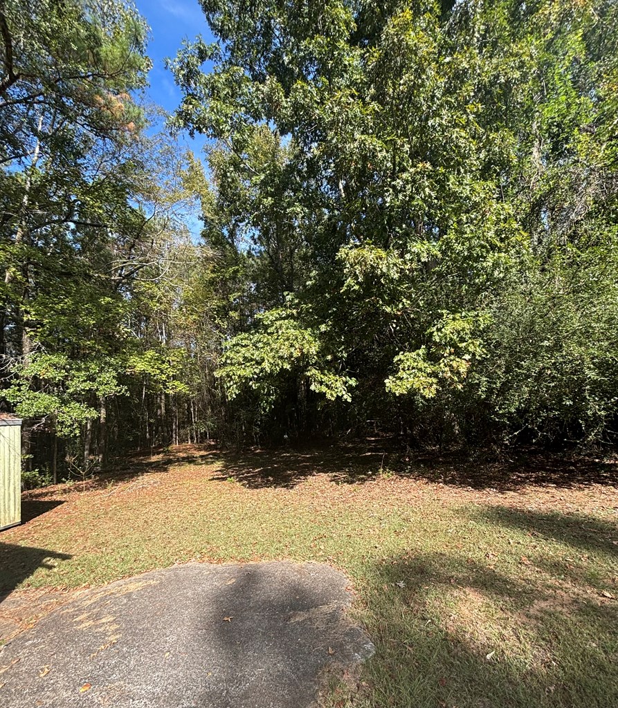 7101 Whitton Drive Midland, GA 31820 - Photo 4 of 4 a view of outdoor space and trees