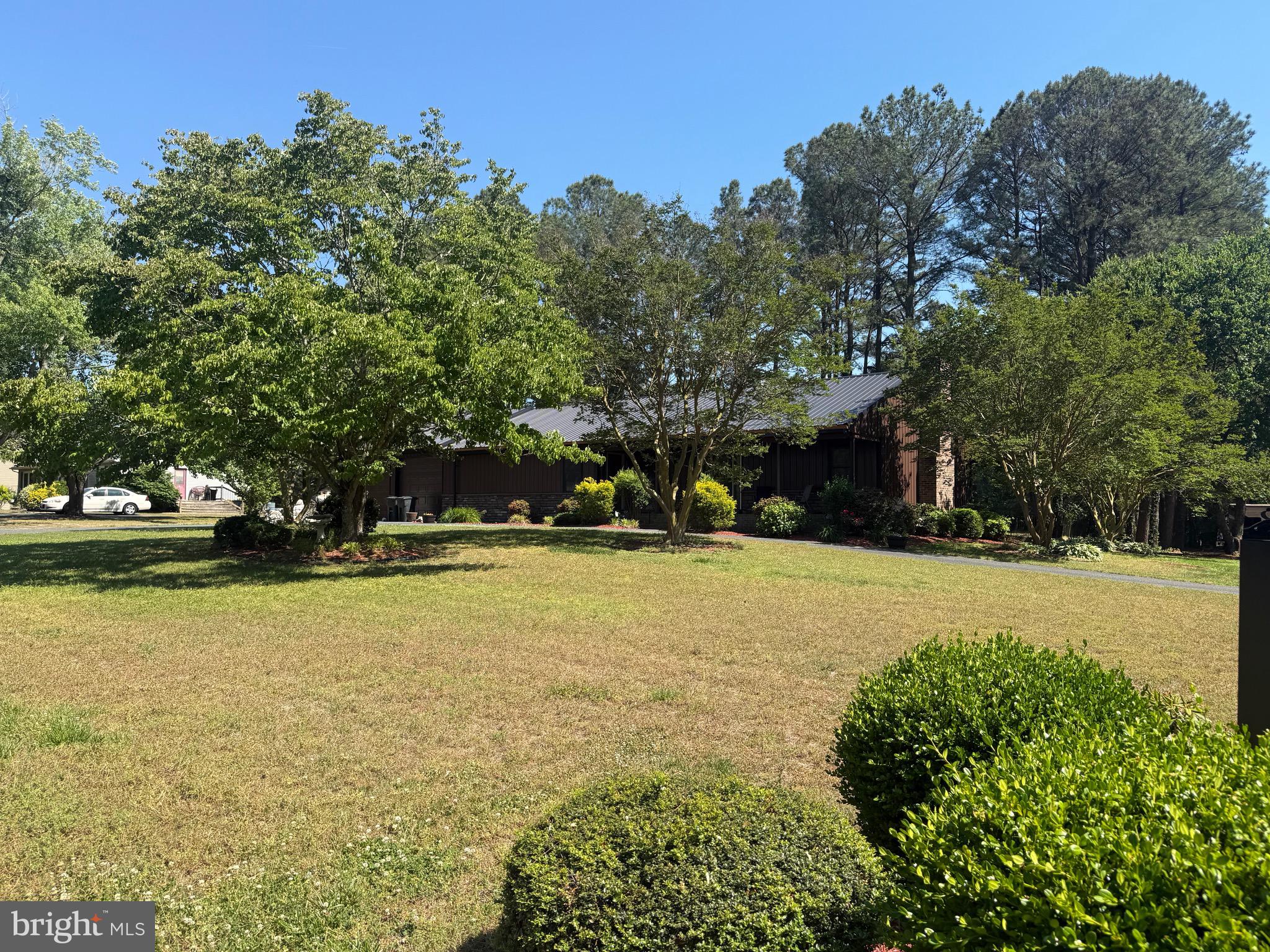 1214 Johnson Road Salisbury, MD 21804 - Photo 17 of 59 a view of swimming pool with trees