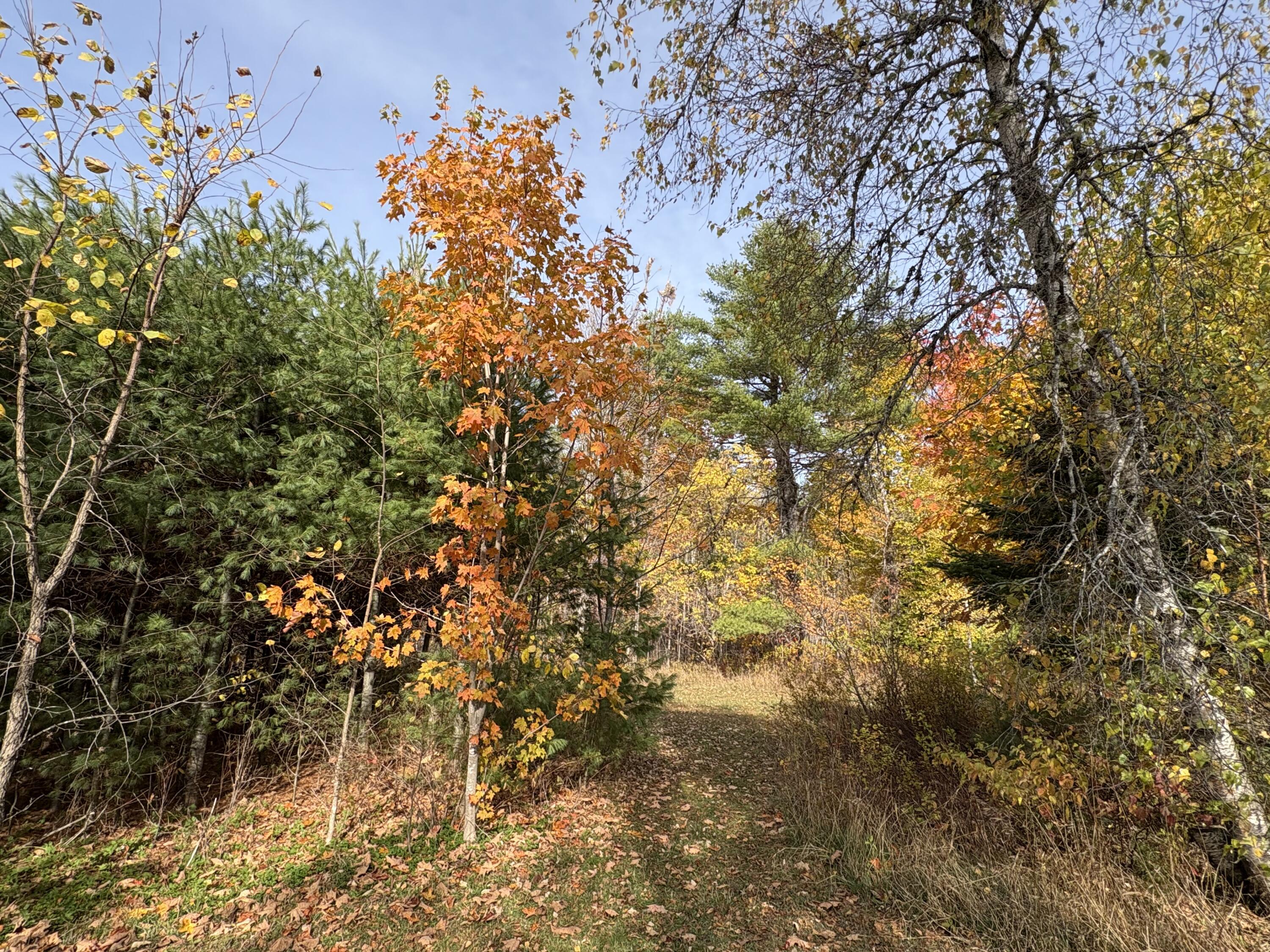 2666 Lee Road Lee, ME 04455 - Photo 21 of 30 IMG_7942