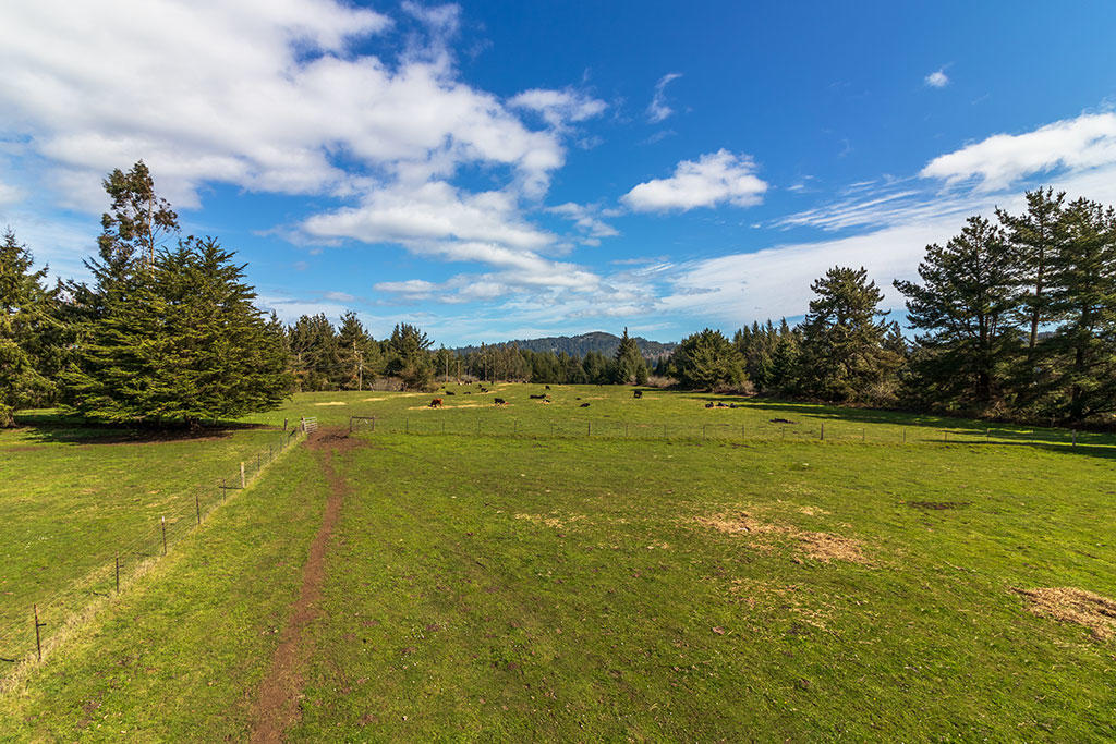117 Table Bluff Road Loleta, CA 95551 - Photo 85 of 127 86