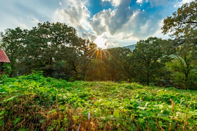 $189,000 | 287 South Oak Street, Whitwell, TN 37397