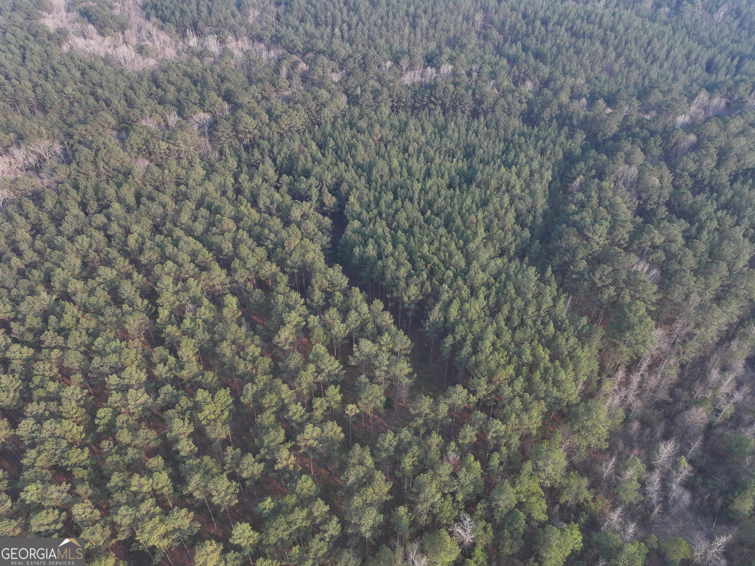 117 Acres On Mccosh Mill Road Franklin, GA 30217 - Photo 10 of 24