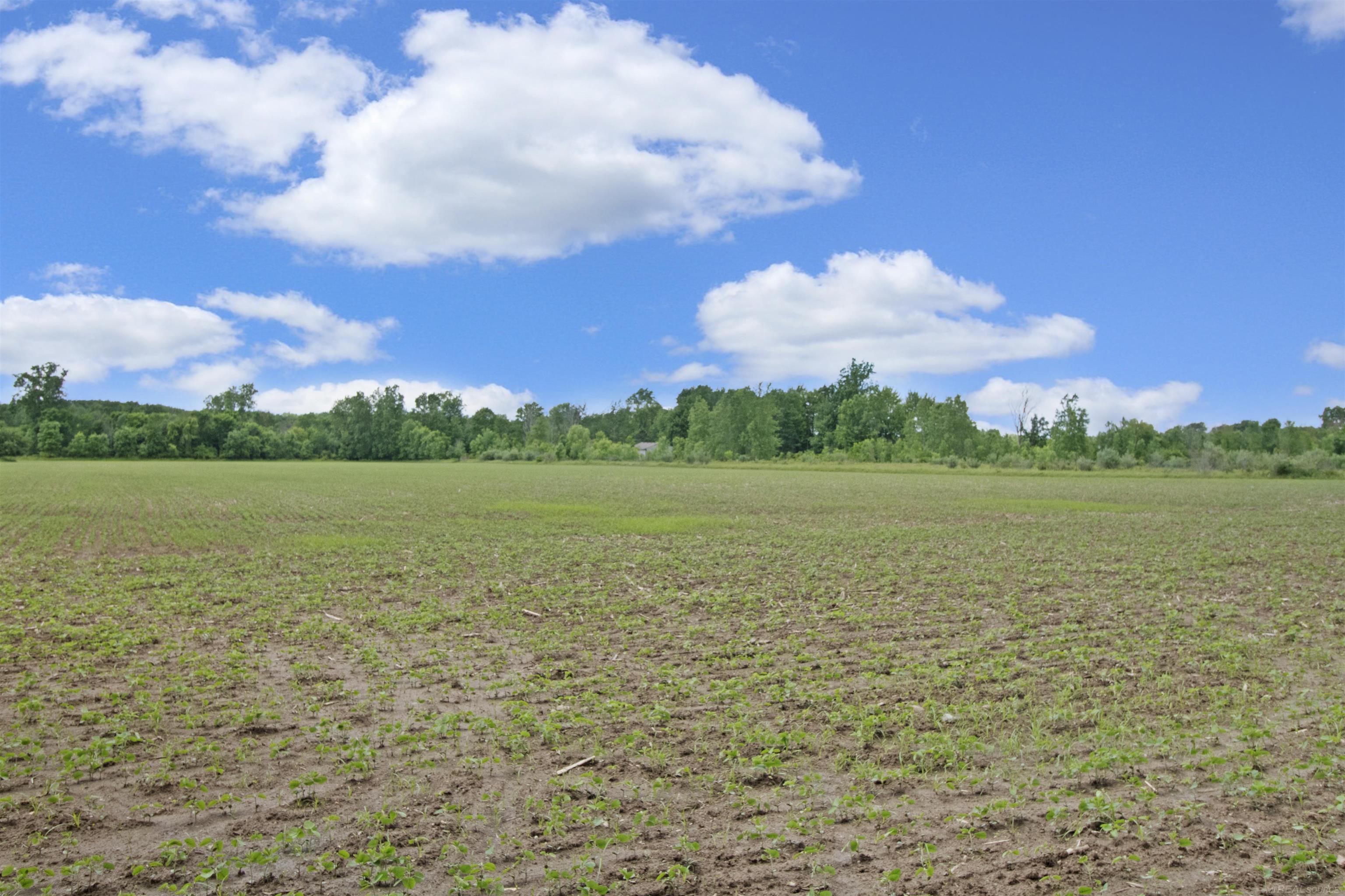 Quain Road Emmett, MI 48022 - Photo 6 of 8