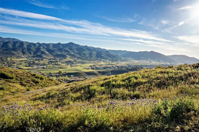 a view of a yard with swimming pool and trees
