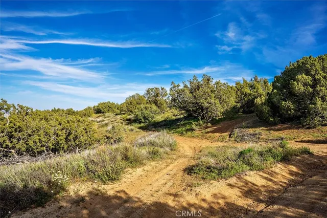 a view of a lake with a yard