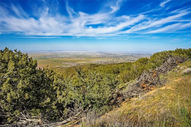 a view of a large yard with lots of green space