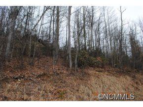 38 Renegade Ridge, Unit 38 Waynesville, NC 28785 - Photo 11 of 12 Gallery Image 11
