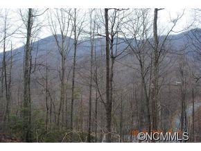 38 Renegade Ridge, Unit 38 Waynesville, NC 28785 - Photo 3 of 12 Gallery Image 3