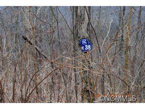 38 Renegade Ridge, Unit 38 Waynesville, NC 28785 - Photo 6 of 12 Gallery Image 6