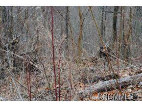 38 Renegade Ridge, Unit 38 Waynesville, NC 28785 - Photo 7 of 12 Gallery Image 7