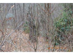 38 Renegade Ridge, Unit 38 Waynesville, NC 28785 - Photo 8 of 12 Gallery Image 8