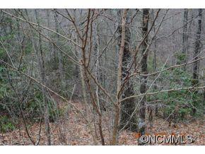 38 Renegade Ridge, Unit 38 Waynesville, NC 28785 - Photo 9 of 12 Gallery Image 9