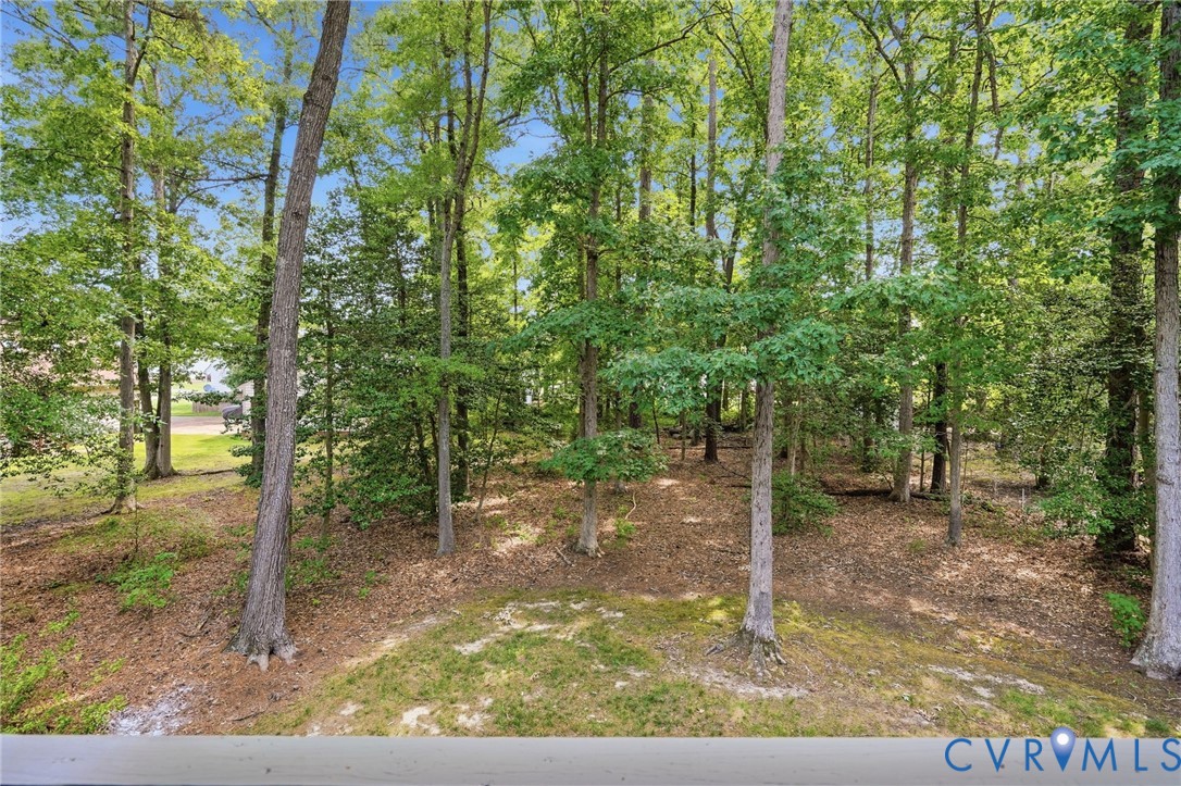 1778 Altman Road Henrico, VA 23228 - Photo 42 of 53