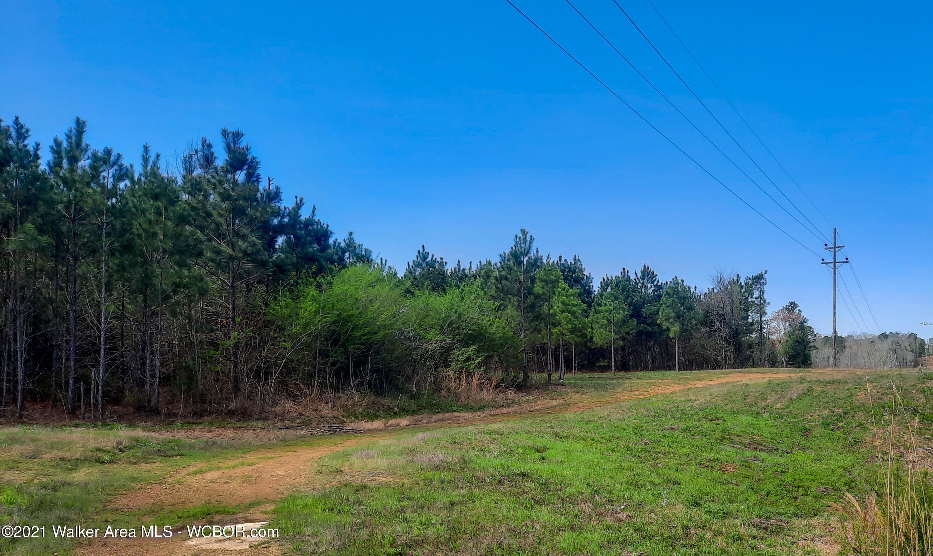 Davidson Loop Oakman, AL 35579 - Photo 4 of 25 Gallery Image 4