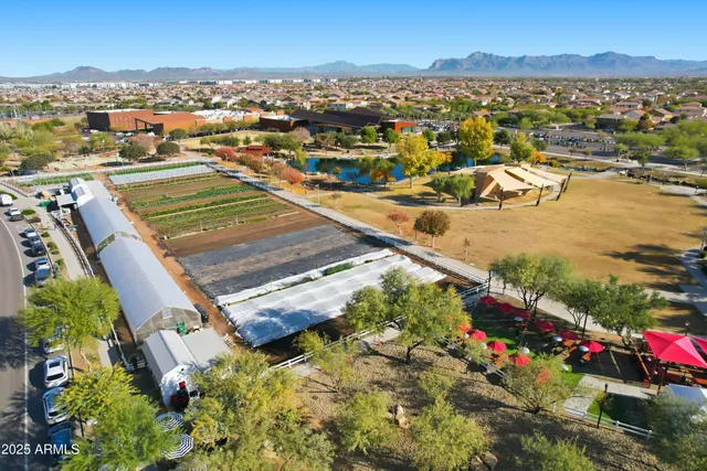 $995,000 | 10702 East Lumiere Avenue, Mesa, AZ 85212