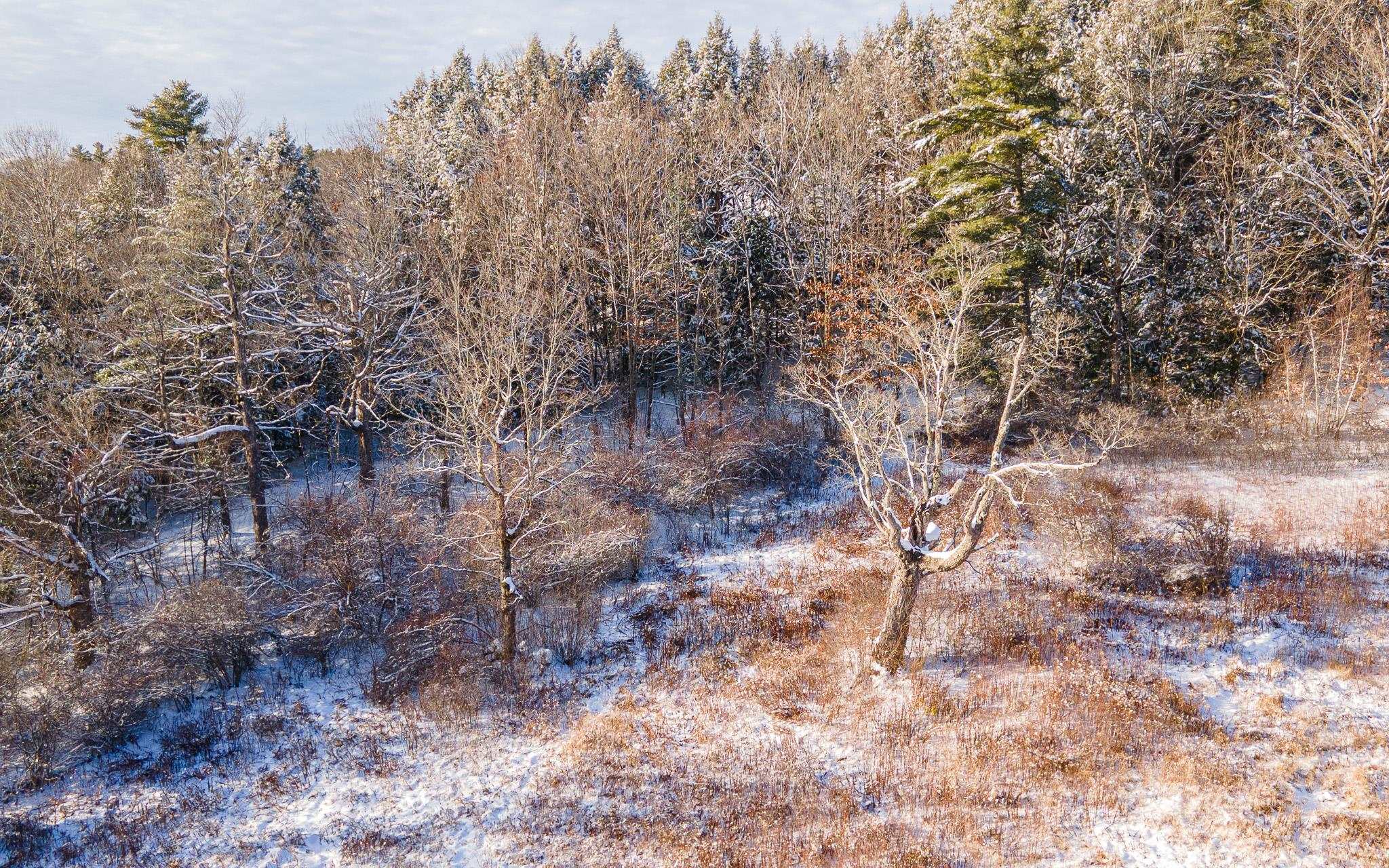 658 Main Street Marlborough, NH 03455 - Photo 38 of 47