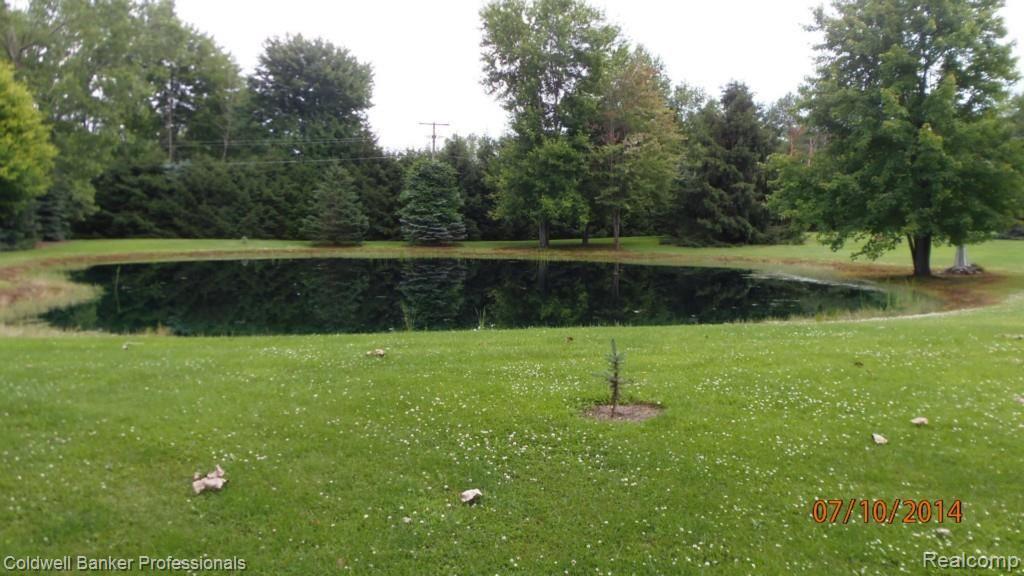 4400 Casey Road Dryden, MI 48428 - Photo 8 of 28 4400 Casey front pond.jpg