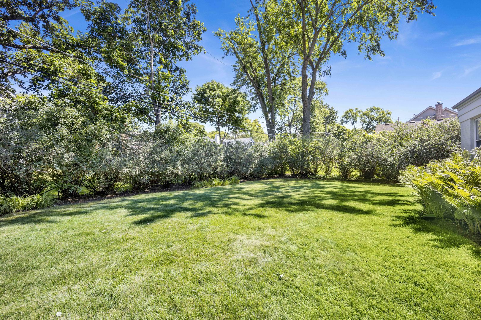 80 Williamsburg Road Evanston, IL 60203 - Photo 27 of 28 a view of outdoor space and yard