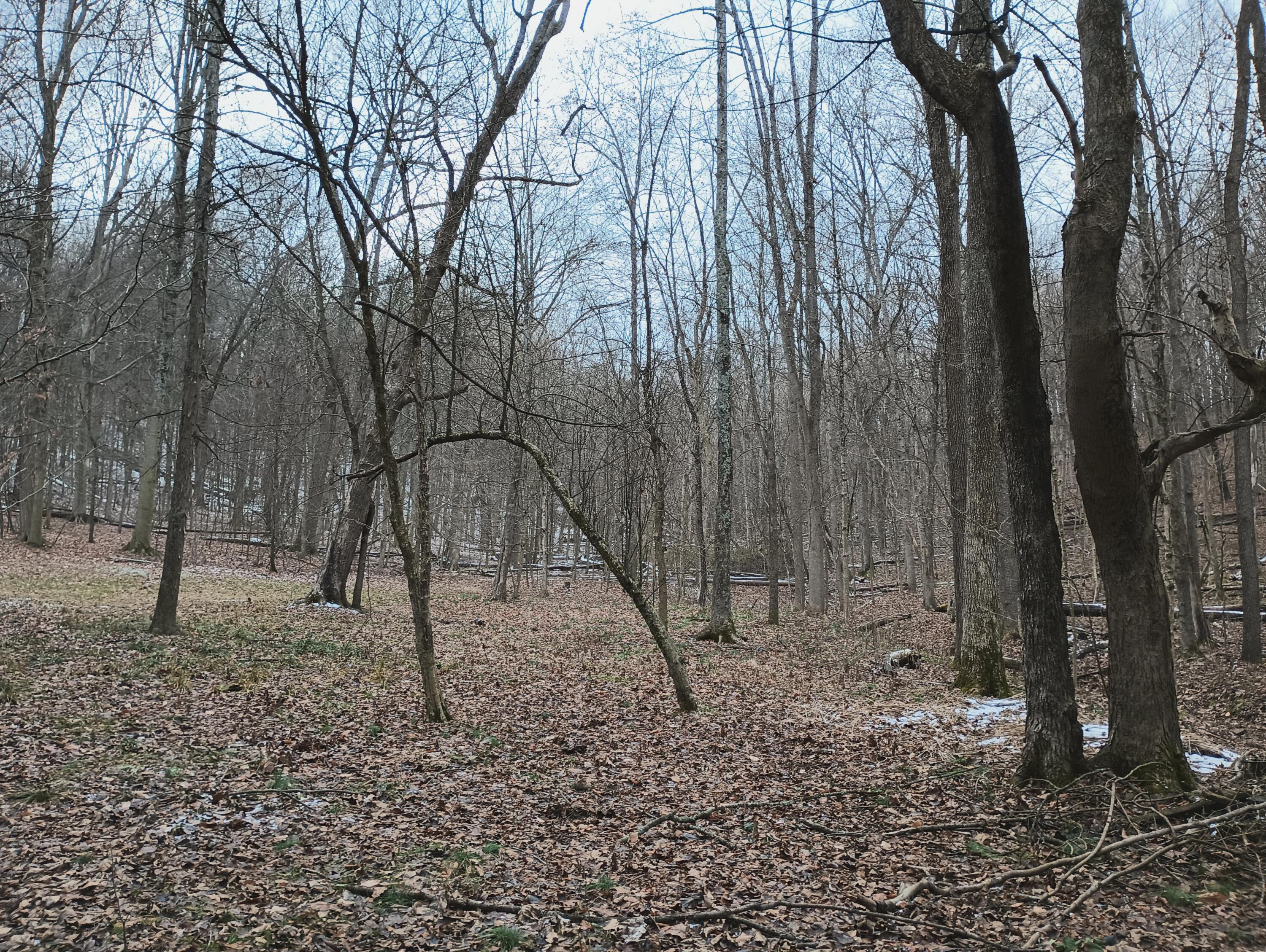 0 Chatham Road Newark, OH 43055 - Photo 22 of 34