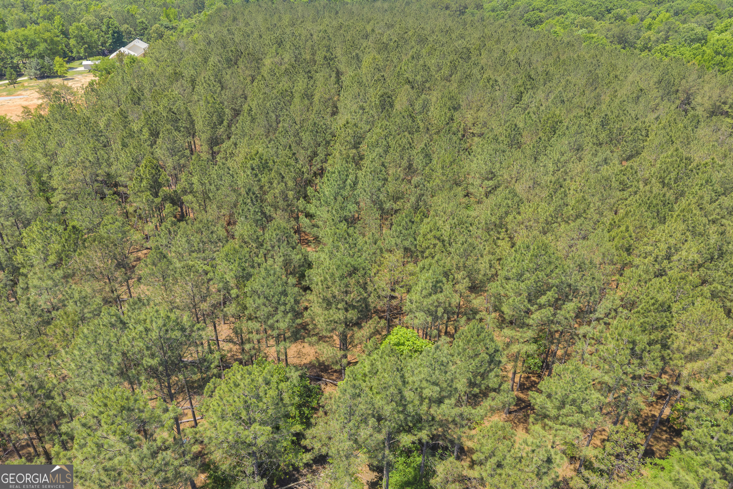 0 Hidden Harbor Road Lincolnton, GA 30817 - Photo 41 of 58