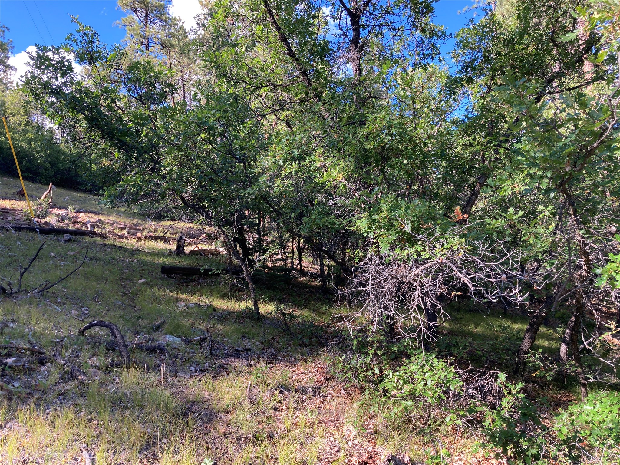 Tbd Serenity Road Chama, NM 87520 - Photo 15 of 20