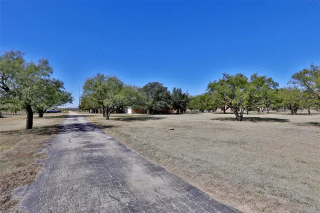 a view of a rural road with a tree
