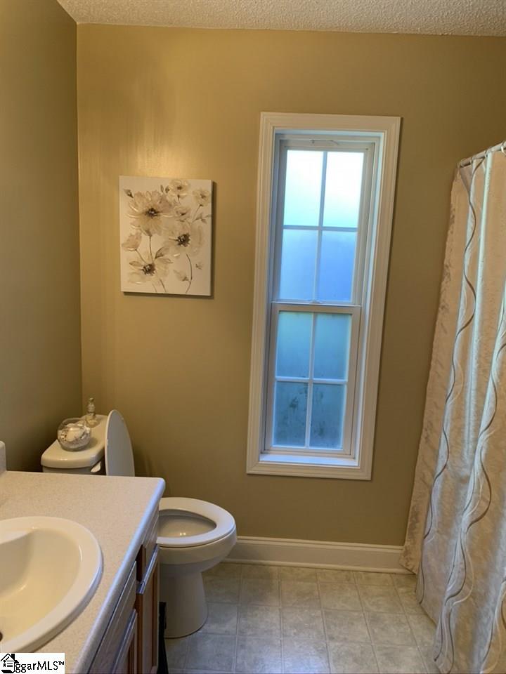 625 Banks Terrace Trail Inman, SC 29349 - Photo 15 of 17