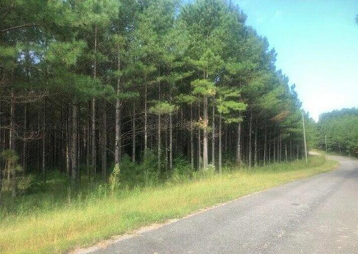 Busby Church Road Nauvoo, AL 35578 - Photo 1 of 4 Gallery Image 1
