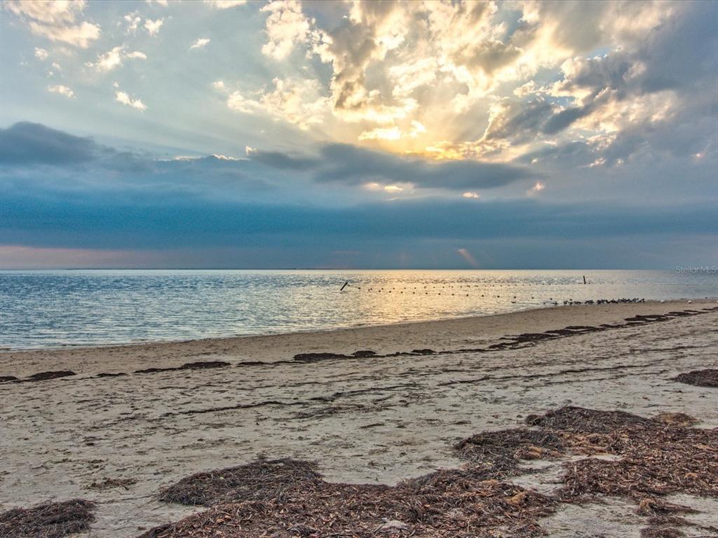 5532 Berlin Drive Port Richey, FL 34668 - Photo 87 of 90