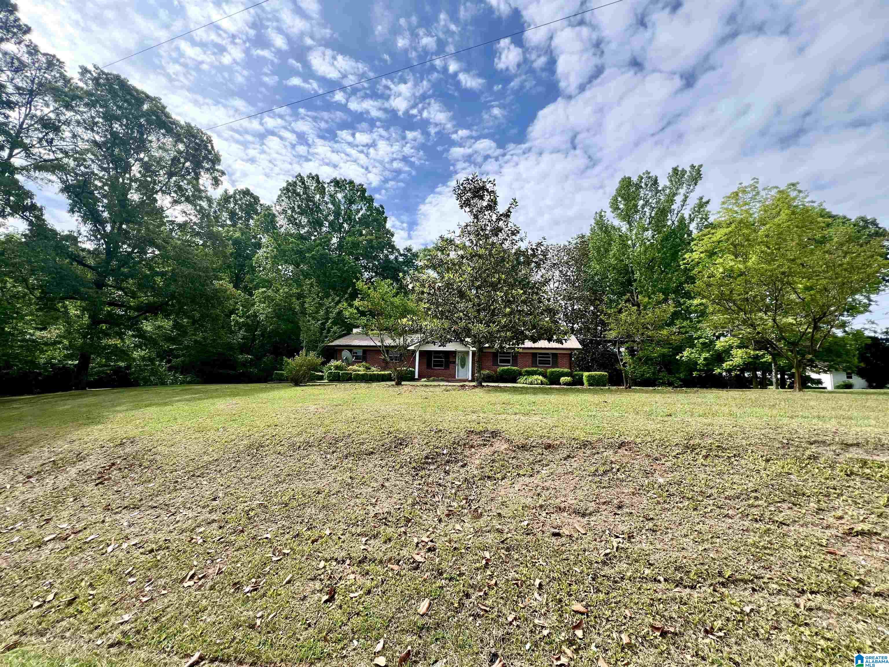 917 Wilson Road Clanton, AL 35045 - Photo 2 of 27