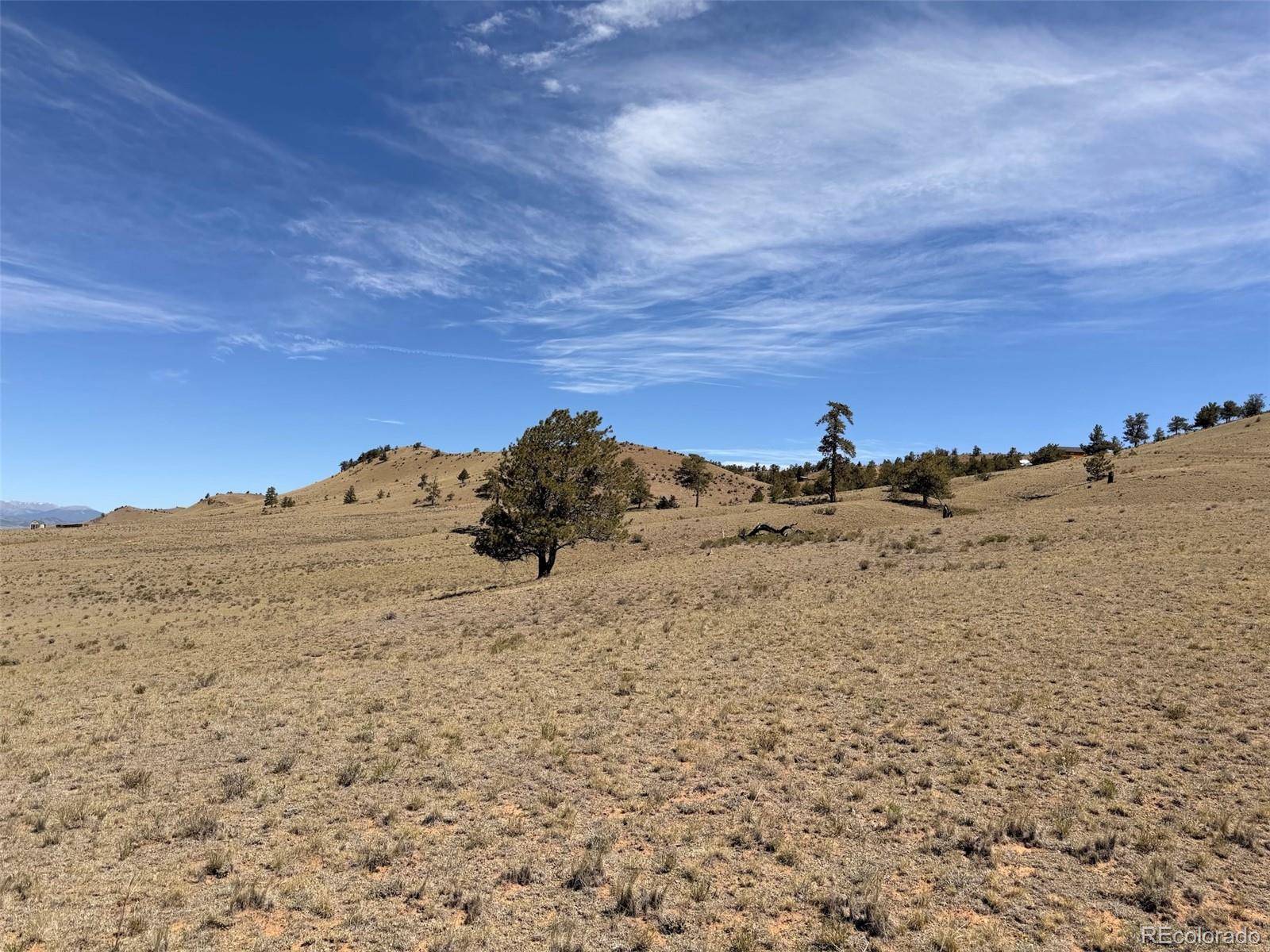 Hardwood Loop Hartsel, CO 80449 - Photo 6 of 38