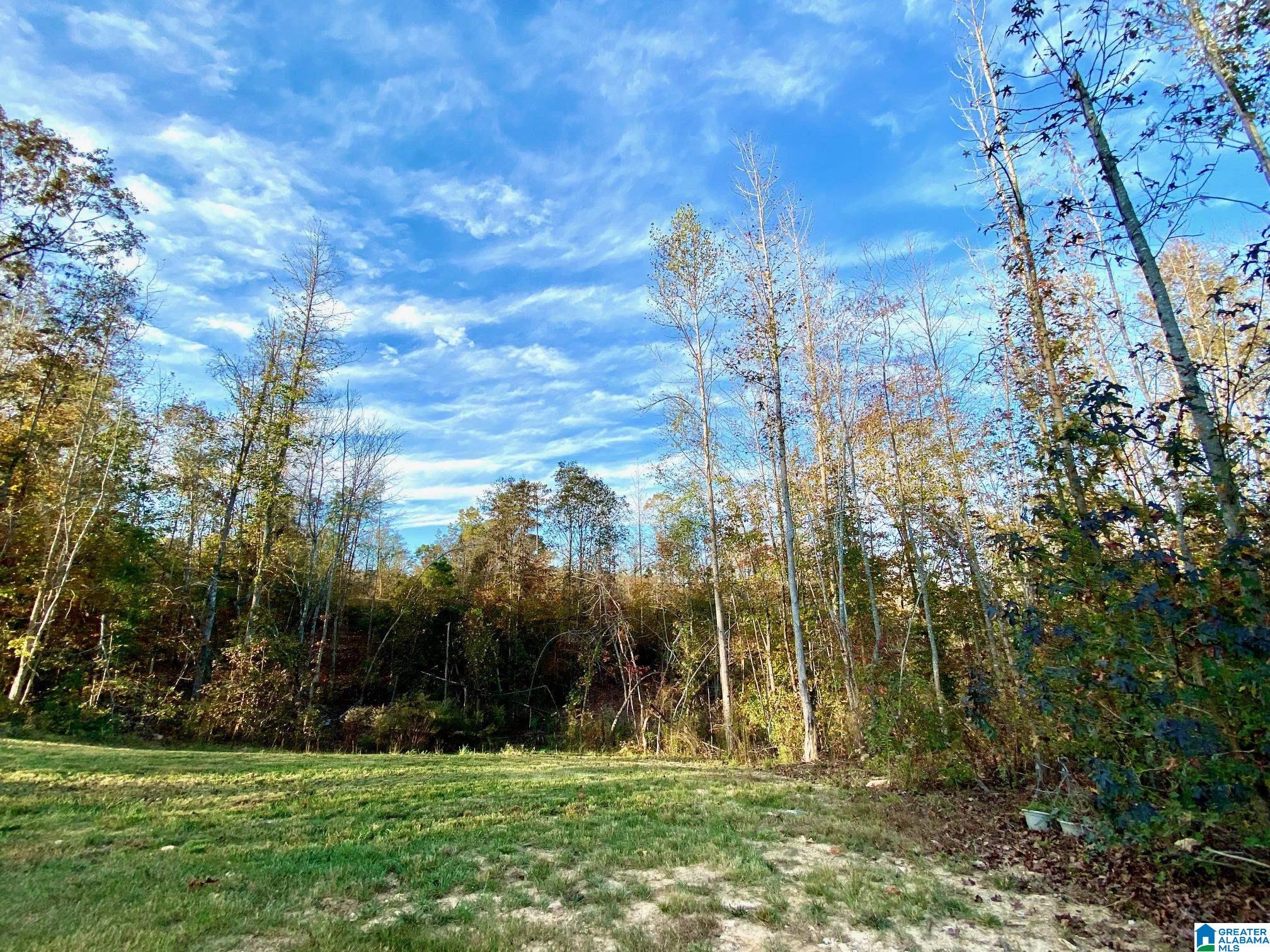 325 County Road 13 Heflin, AL 36264 - Photo 4 of 56